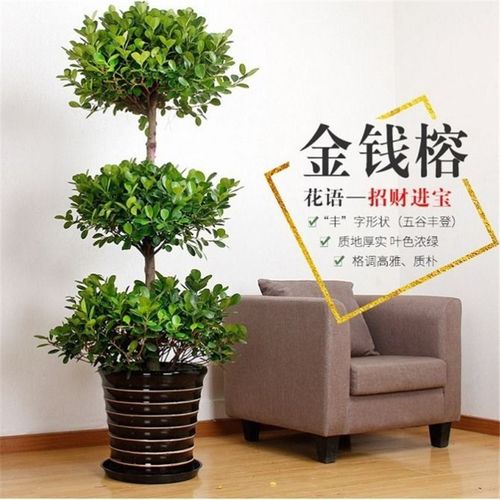 裝修辦公室