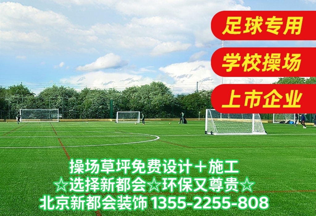 足球場環(huán)保草坪